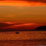 La Symphonie des Douceurs II